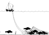 Image Pêche au chalut